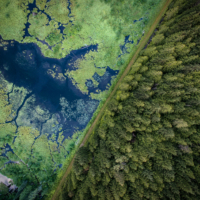 Advanced Drone Services for Agriculture, Business, Government, and More