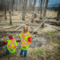 environmental stewardship