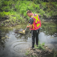 mosquito control