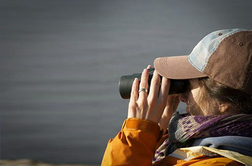 GIS expert and certified agrologist